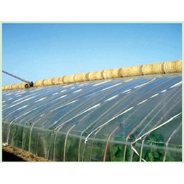 日光温室工程-鑫和温室园艺(在线咨询)-河北日光温室